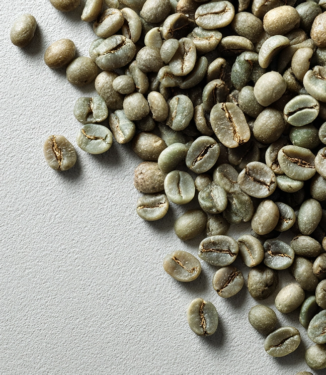 Green coffee beans ready for export